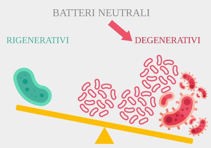 dominanza di microrganismi degenrativi